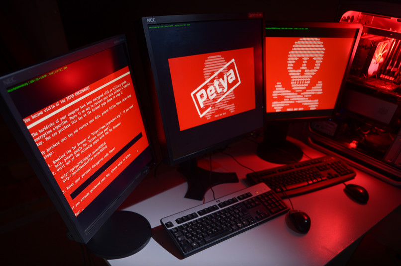 Petya5