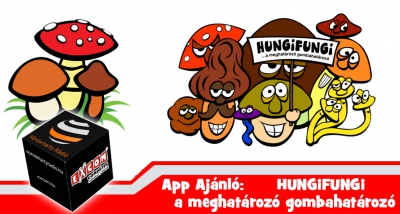 App Ajánló: HungiFungi - a gombahatározó